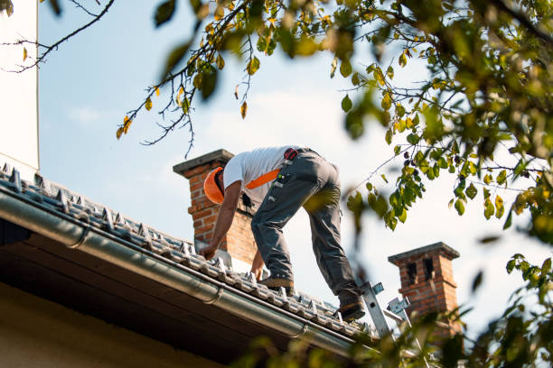 Best Roof Maintenance Services  in Lakin, KS