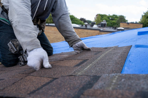 Best Commercial Roofing Services  in Lakin, KS