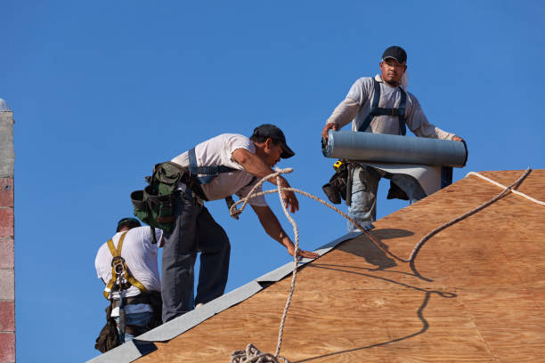 Best Emergency Roof Repair  in Lakin, KS