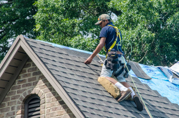 Best Residential Roof Replacement  in Lakin, KS